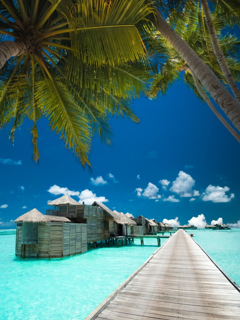 maldives_all.jpg maldives_all.jpg